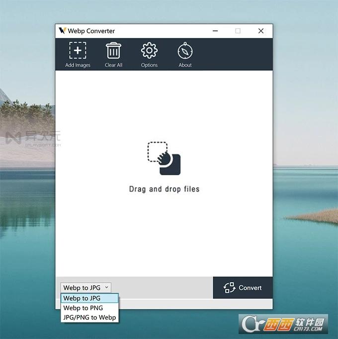 WebPConverter,格式转换,批量处理.